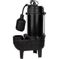 Cast Iron Sewage Pump, 120 V, 9.5 A, 6000 GPH, 1/2 HP Equipex