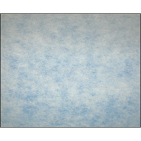Filtres en m&eacute;dias synth&eacute;tiques &agrave; arrestance &eacute;lev&eacute;e, Tampon, MERV 5, 24" la x 2" p x 12" h Equipex