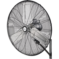 Ventilateur mural oscillant, Industriel, 2 vitesses, Diam&egrave;tre de 30" Equipex