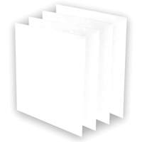 AeraMax&reg; Pro AM3 or AM4 Pre-Filters, 13.75" W x 0.13" D x 14.38" H Equipex