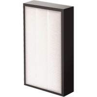 AeraMax&reg; Pro AM2 1-3/4" True HEPA Filter, Box, 7.38" W x 1.88" D x 12.88" H Equipex