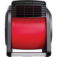 Souffleur d'air Equipex