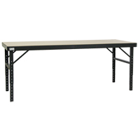 Adjustable Height Worktable Equipex
