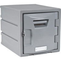 Casier, 12" x 15" x 12", Gris, Assembl&eacute; Equipex