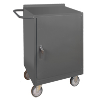 Armoire d'&eacute;tabli mobile, Acier Surface Equipex