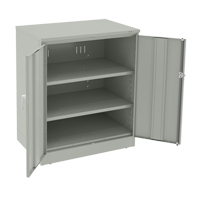 Armoire &agrave; hauteur de comptoir de luxe, Acier, 2 Tablettes, 42" h x 36" la x 24" P, Gris p&acirc;le Equipex