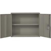 Armoire murale, Acier, 2 Tablettes, 30" h x 36" la x 12" P, Gris Equipex