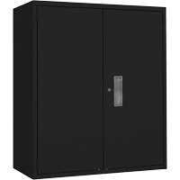 Armoire de rangement Lo-Boy, Acier, 2 Tablettes, 42" h x 36" la x 18" P, Noir Equipex