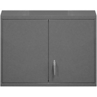Armoire murale, 27" h x 29-7/8" la x 13-11/16" p, 2 tablettes, Acier, Gris Equipex