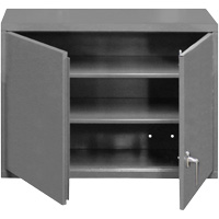 Armoire murale, 27" h x 29-7/8" la x 13-11/16" p, 2 tablettes, Acier, Gris Equipex