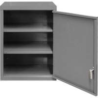 Armoire murale, 27" h x 13-11/16" la x 18" p, 2 tablettes, Acier, Gris Equipex