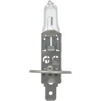 64155 Basic Automotive Bulb, Halogen, 78 W, Off White Equipex