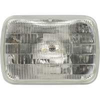 Phare automobile scell&eacute; de base H6054, 35 W, Blanc Equipex