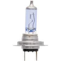H7 SilverStar&reg; zXe Headlight Bulb, Halogen/HID, 56 W, White Equipex