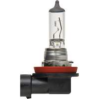 H8 Basic Headlight Bulb, Halogen, 35 W, Off White Equipex