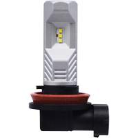 H8 Headlight Bulb, LED, 12.8 W/9 W, White Equipex