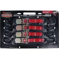 Tendeurs d'arrimage &agrave; cliquet, Crochet en S, 1" , 12' , Charge d'utilisation max. 500 lb (230 kg) Equipex