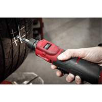 M12 Fuel Low Speed Tire Buffer Equipex