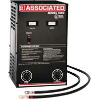 Chargeur de batterie parall&egrave;le &agrave; haute performance Equipex