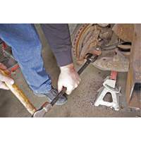 5-Piece Thick Pickle Fork Set Equipex