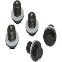 Set of 5 Plugs & Gaskets  Equipex