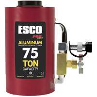 Heavy-Duty Hydraulic Cylinder, 6" Stroke, 75 Ton(s) Capacity, 10000 PSI Equipex