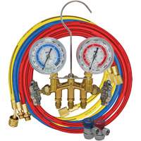 R134A 2-Way Brass Manifold Gauge Set Equipex