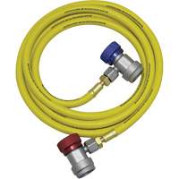 R134a A/C System Flush Hose Assembly Equipex