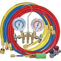 Jeu de manom&egrave;tres collecteurs avec coupleurs manuels et mini-injecteur de colorant Equipex
