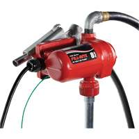 Pompe de transfert de carburant 12 V CC avec pistolet Equipex