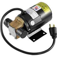 Low Profile Truck Drain with Electric Pump Equipex