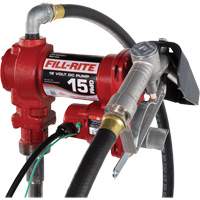 Pompe de transfert de carburant 12 V CC avec pistolet Equipex