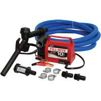 Pompe de transfert de carburant 12 V CC avec pistolet Equipex