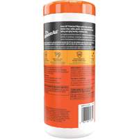 Original Protectant Wipes Equipex