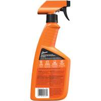 Multi-Purpose Auto Cleaner, 16 oz./473 ml, Trigger Bottle Equipex