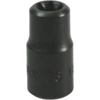 E-8 Torx&reg; Socket Equipex