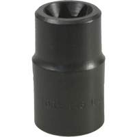 E-18 Torx&reg; Socket Equipex