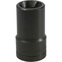 E-20 Torx&reg; Socket Equipex