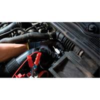 Pompette de purge de frein Brake-Pro &agrave; structure haute avec adaptateurs Equipex