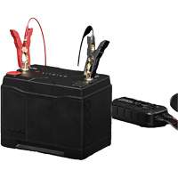 Batterie lithium-ion LiFePO4 &agrave; double usage de groupe 31, 120 Ah Equipex