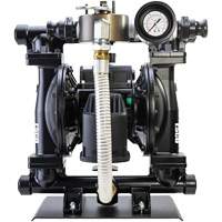 Calcium Chloride Liquid Transfer Pump Equipex
