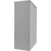 Armoire de rangement &agrave; hauteur de comptoir, Acier, 2 Tablettes, 42" h x 48" la x 24" P, Gris Equipex