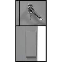 Armoire de rangement &agrave; hauteur de comptoir, Acier, 2 Tablettes, 42" h x 48" la x 24" P, Gris Equipex