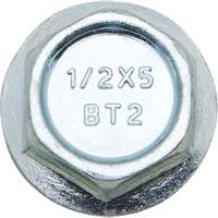 Wedge Bolts, Carbon Steel, 1/2" x 2" Equipex