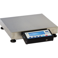 Bench Platform Scales