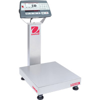 Defender 5000 Multi-Functional Bench Scale, 25  lbs. Capacity, 14" L x 12" W Equipex