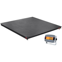 Balances de plancher Defender 3000, Capacit&eacute; de 5000 lb, 4' lo x 4' la Equipex