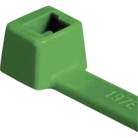 Attaches pour c&acirc;ble PA66 homologu&eacute;es UL, Longueur 4", R&eacute;sistance &agrave; la traction 18 lb, Vert Equipex