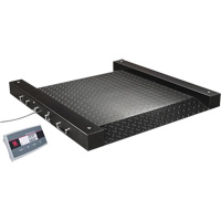 Balance Defender 2500 pour baril, Capacit&eacute; de 500 lb, 2,5' lo x 2,5' la Equipex