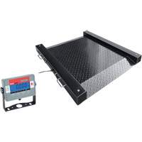 DEFENDER Floor Scale, 1000 lbs. Capacity, 30" L x 30" W Equipex